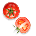 토마토이미지