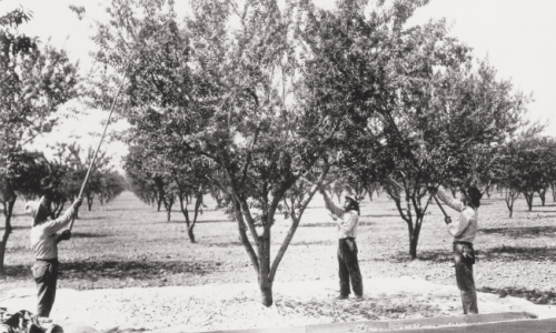 1850년대 이미지