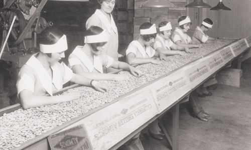 1914년대 이미지