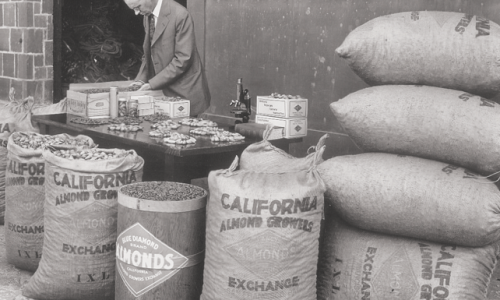 1931년대 이미지