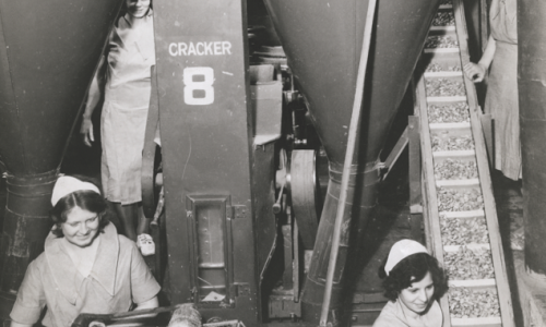 1931년대 이미지