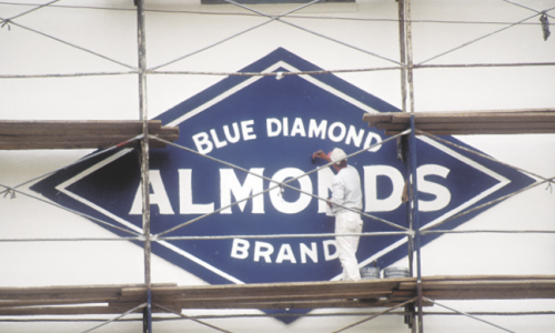 1980년대 이미지