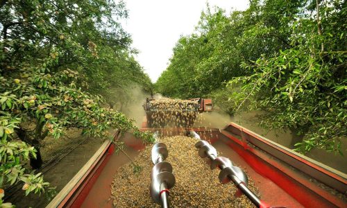 2010년대 이미지