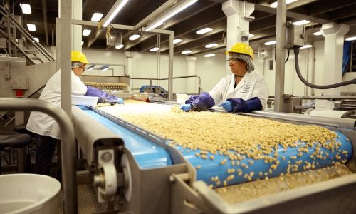 2013년대 이미지